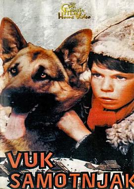 孤独的狼封面图