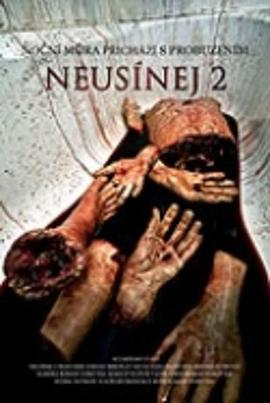 Neusínej 2封面图