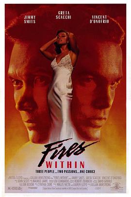 情如物证封面图