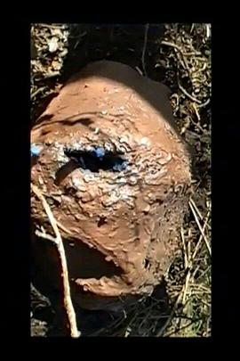 Angriff der sehr gefährlichen ekligen schwarzen Würmer aus einer fernen Galaxie, die niemand kennt封面图