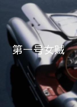 第一号女贼封面图