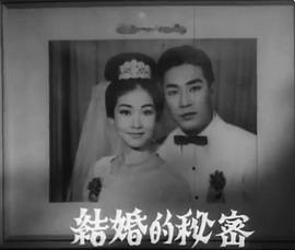 结婚的秘密封面图