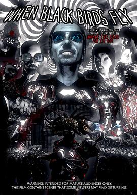 当黑鸟飞翔封面图