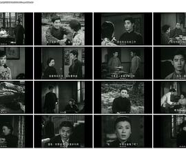 白头情侣封面图