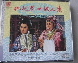 枇杷巷口故人來封面图