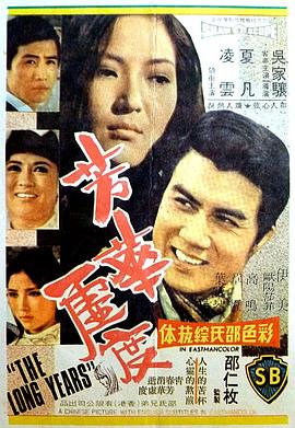 芳华虚度封面图