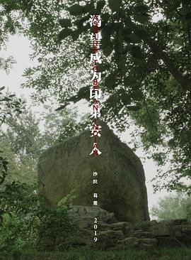 渴望成为印第安人封面图