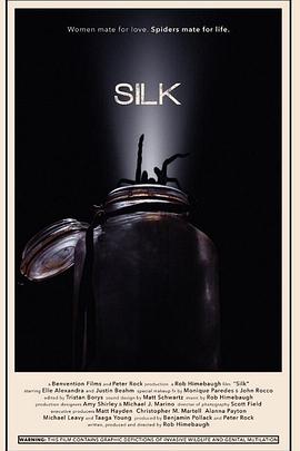 Silk封面图