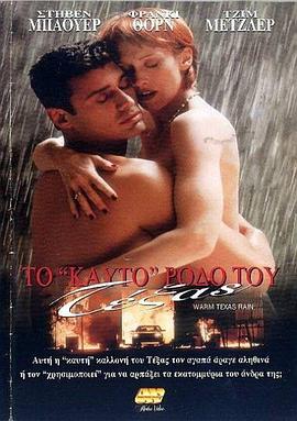 德克萨斯的暖雨封面图