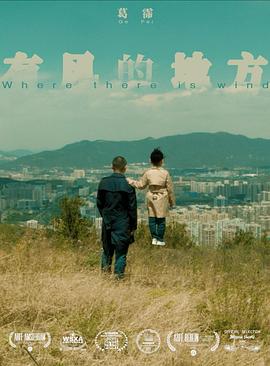 有风的地方封面图