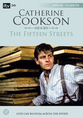 第十五大街封面图