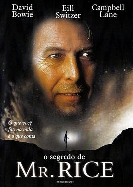 莱斯先生的秘密封面图