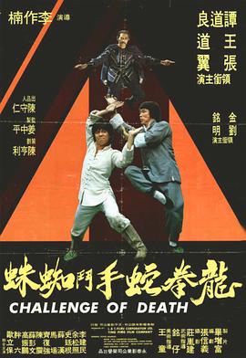 龙拳蛇手斗蜘蛛封面图