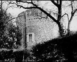 仅为远古循环封面图