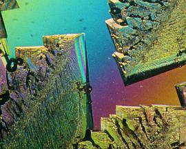 吱吱作响的时间封面图