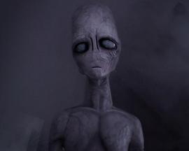 The Last Abduction封面图