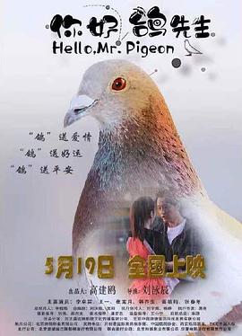 你好，鸽先生封面图