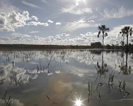 聆听河流封面图