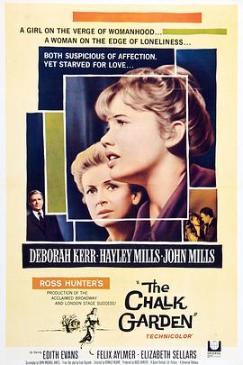 风雨故人情封面图