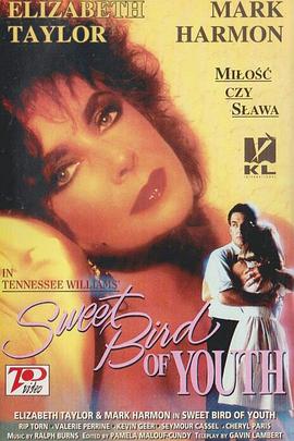 浓爱痴情封面图