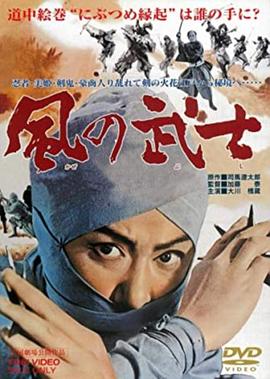 风之武士封面图
