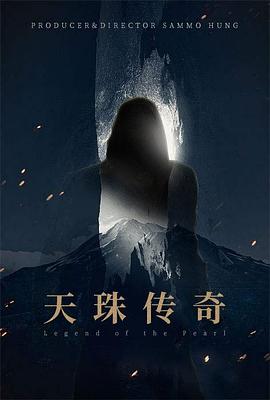 天珠传奇封面图