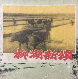 柳湖新颂封面图