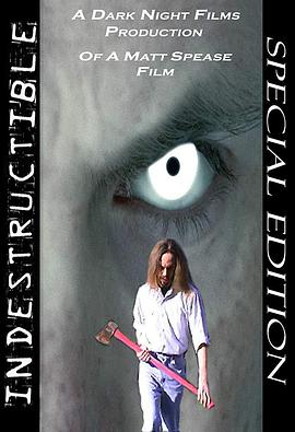 Indestructible封面图