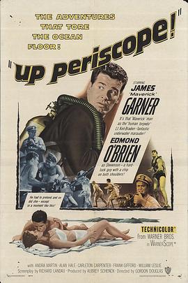 蛙人之魂封面图