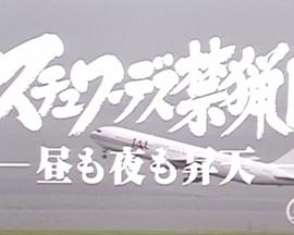 空姐保护区 - 昼夜飞天 -封面图