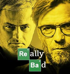 12/13欧冠半决赛多特VS皇马封面图