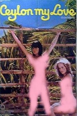 锡兰我的爱封面图