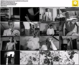 The Way to Shadow Garden封面图