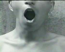 小人国的舞会封面图