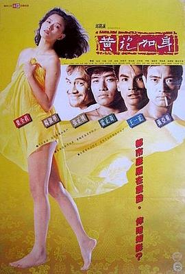 黄袍加身封面图