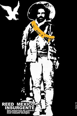 里德：墨西哥叛乱份子封面图
