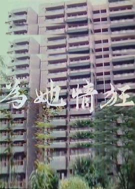 为她情狂封面图