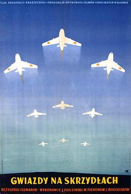 银翼上的红星封面图