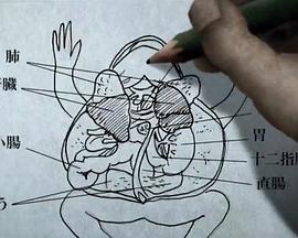 思春洗手乳封面图