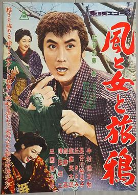 风，女，旅鸦封面图