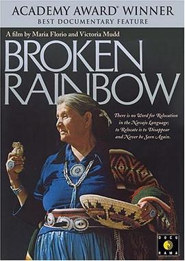 破碎的彩虹封面图