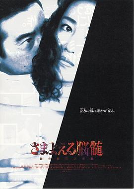 彷徨的脑髓封面图