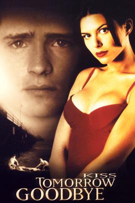 邪恶圈套封面图