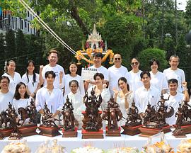 The D Project (Working Title)封面图