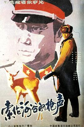 索伦河谷的枪声封面图