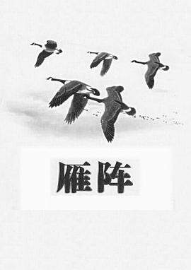 雁阵封面图