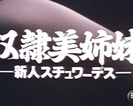 奴隷美姉妹 新人スチュワーデス封面图