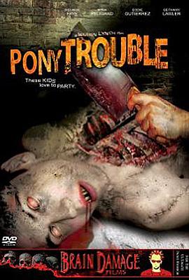 小马的困扰封面图