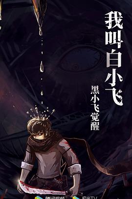 我叫白小飞·黑小飞觉醒封面图