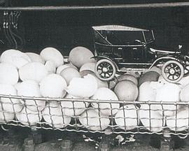 胶皮鸡蛋封面图